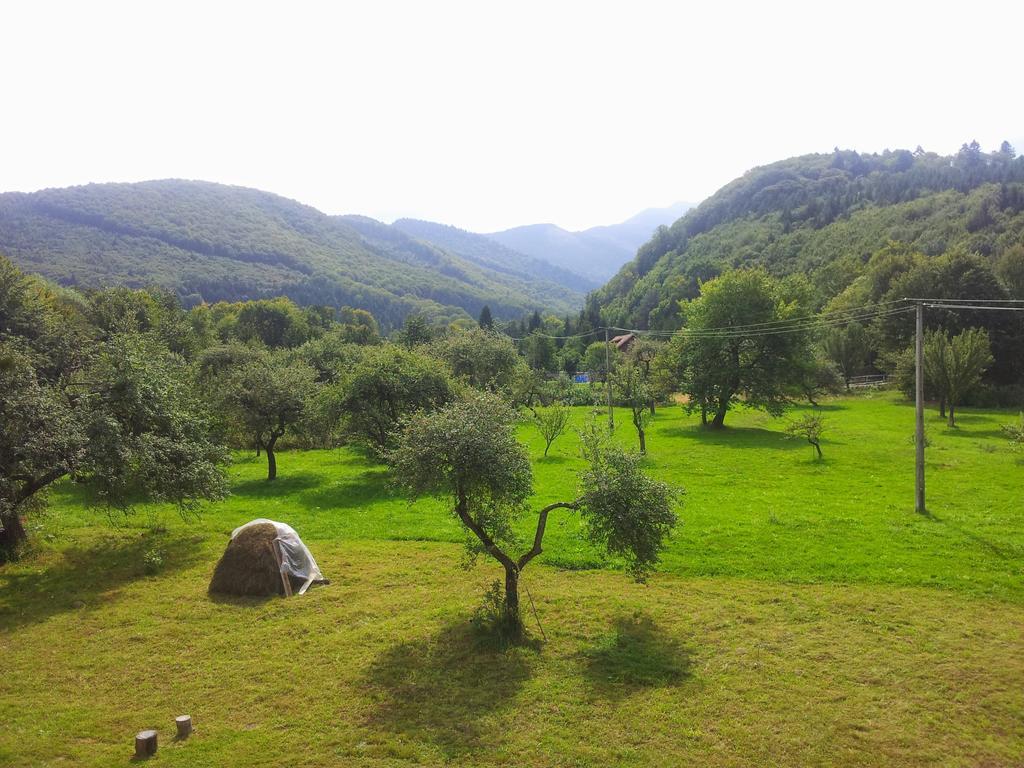 Pensiunea Elena Vistisoara Rom bilde