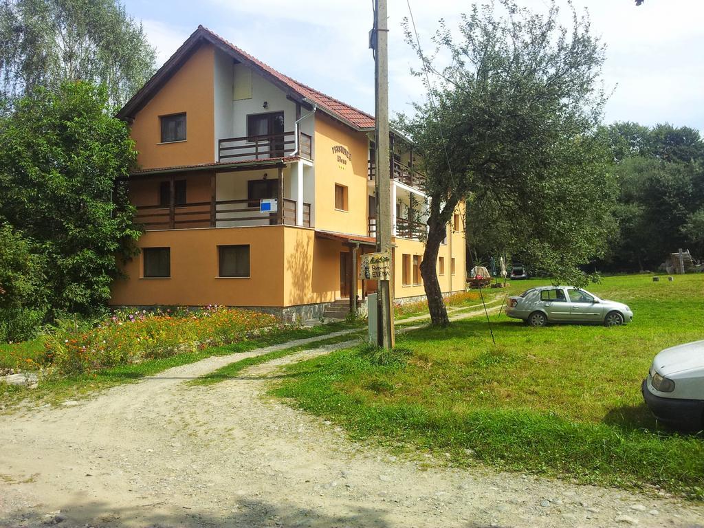 Pensiunea Elena Vistisoara Rom bilde